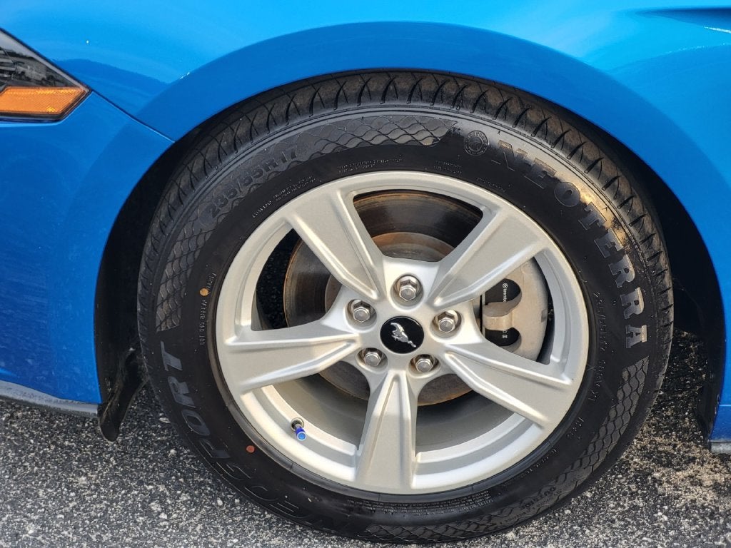 2021 Ford Mustang EcoBoost Fastback