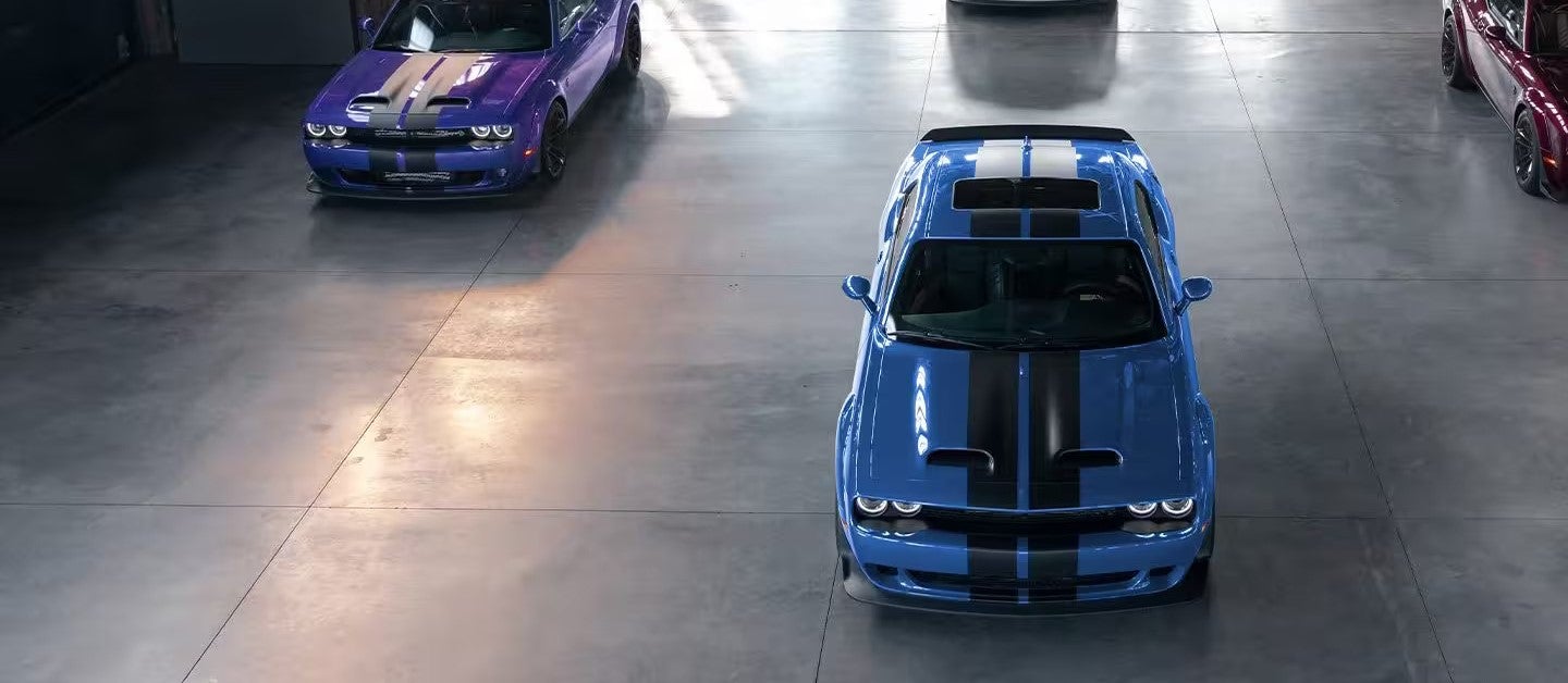 2023 Dodge Charger Color Option